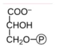<p>Name this molecule which is the 1st product of photosynthesis? </p>