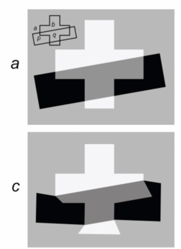 <p>what transparency cue is weakened in (c) compared with (a)? </p>