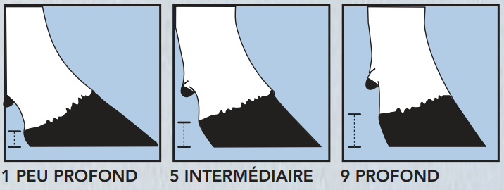 <p>Dépend de l’<strong>épaisseur des talons</strong>, i<span style="color: red;"><strong>déal 4-5 cm</strong></span>.</p>
