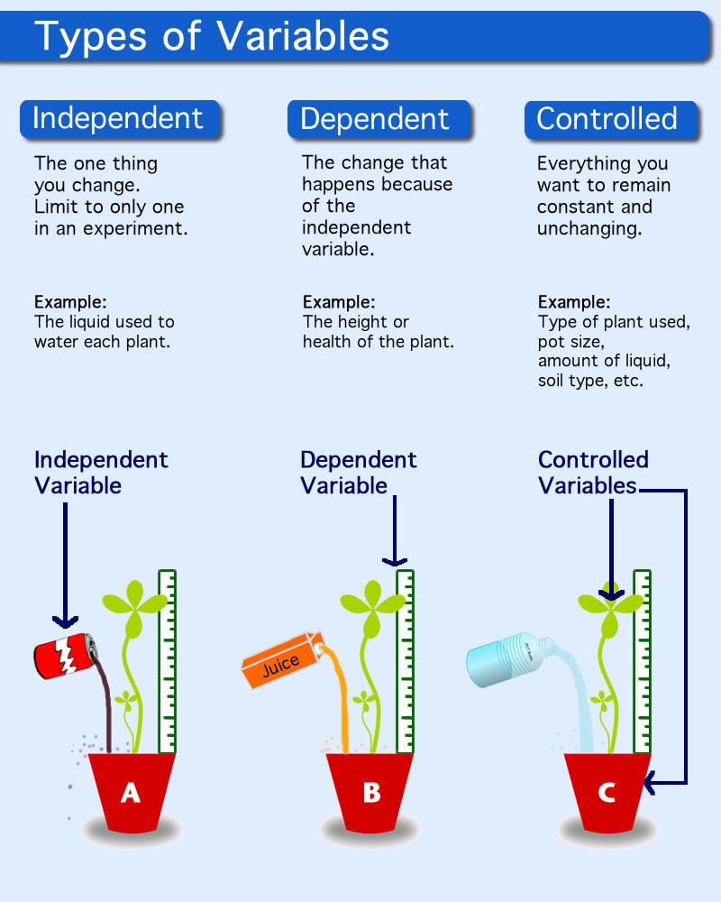 <p><strong>Independent</strong>: <em>experimental</em> variable that is being tested to observe/note a change<br><br><strong>Dependent</strong>: responding variable that changes due to the experimental/independent variable<br><br><strong>Control</strong>: <em>Fixed </em>variable that is used to ensure that the change is due to the experimental/independent variable and not another factor</p>