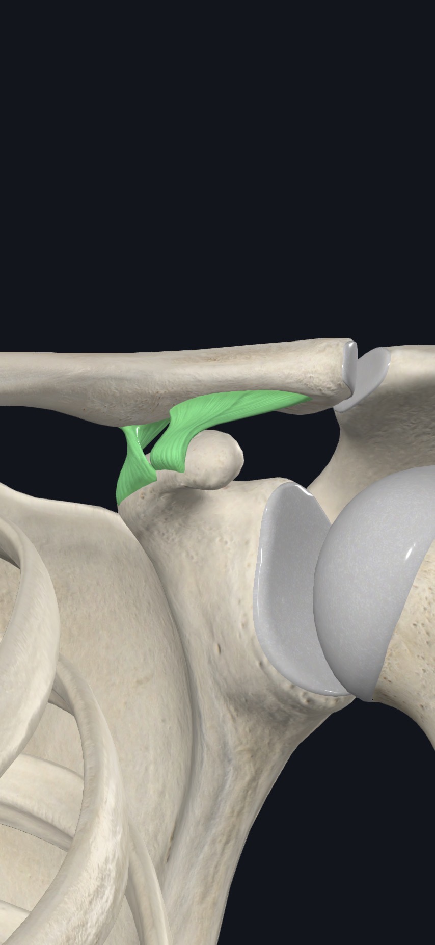 <p>what is this?</p>