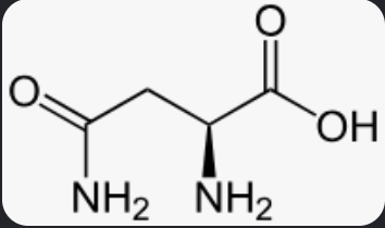 <p>What amino acid is this? </p>