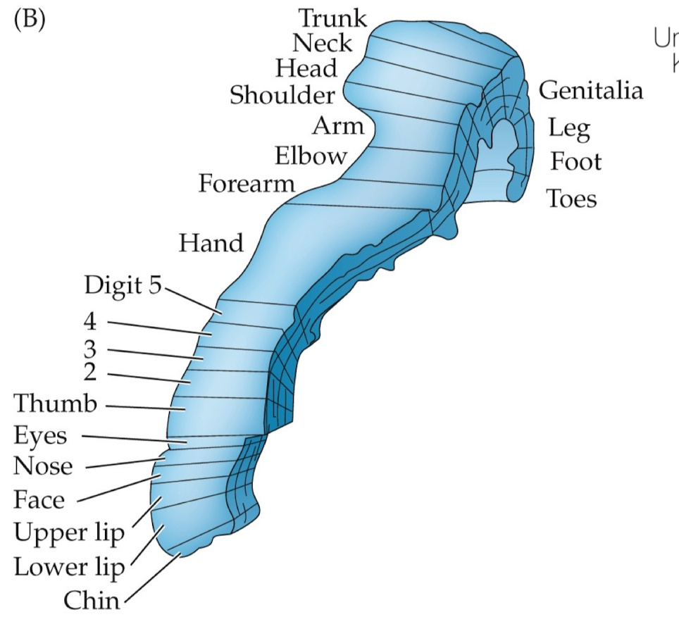 <p>What can you see here?</p>