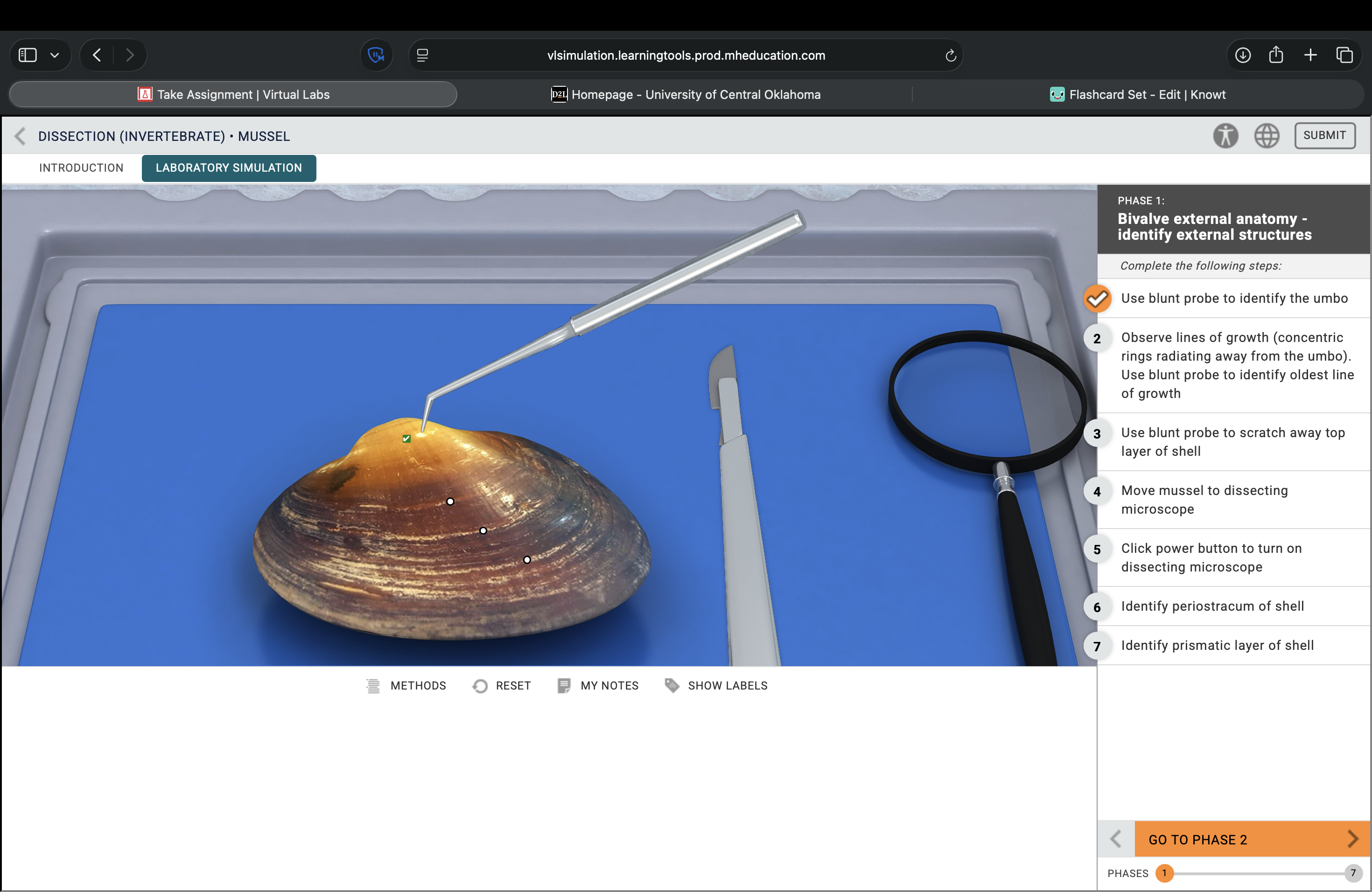 <p>What structure is this pointing to?</p>