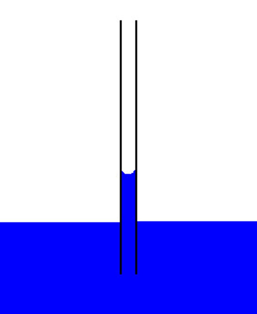 <p>H bonds holding molecules to another substance</p>