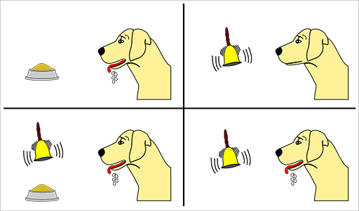 <p>Ivan Pavlov.</p>