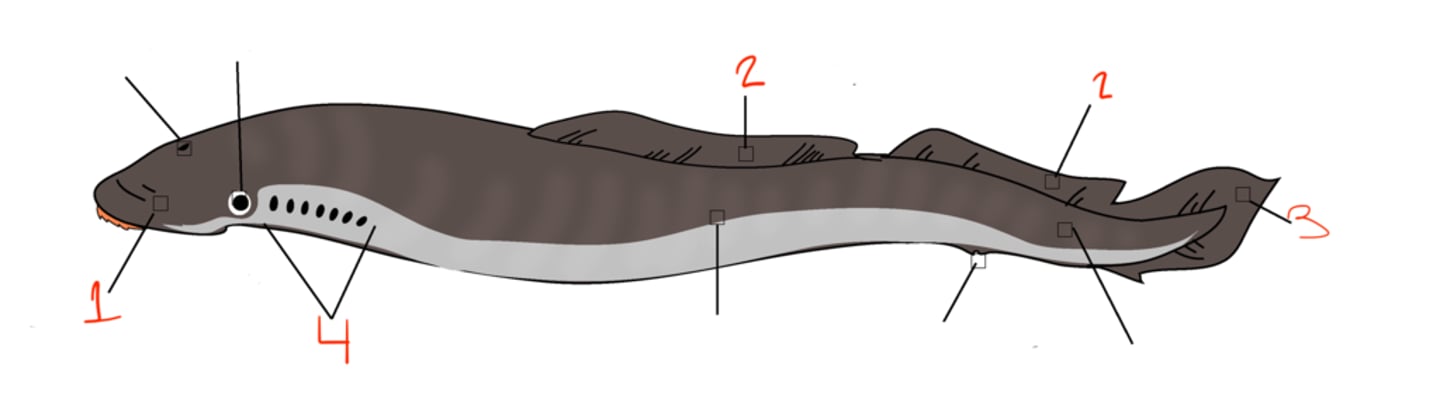 <p>what is 3?</p>