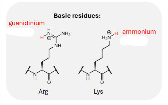 <p>guanidinium pKa?</p>