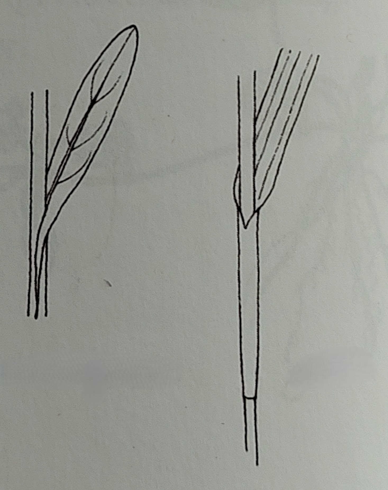 <p></p>