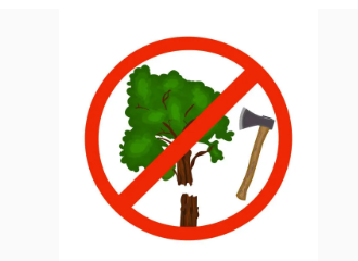 <p><span>A action that you do when you cut wood or a tree</span></p>