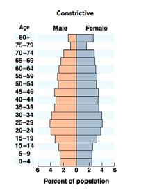 <p>Low birth rate</p><p>Small numbers of young people</p><p>Graying population —> large number of dependents </p><p>Stage 4/Stage 5, developed countries</p><p>Decline in growth —> encouraging migration or pro-natalist policies </p>