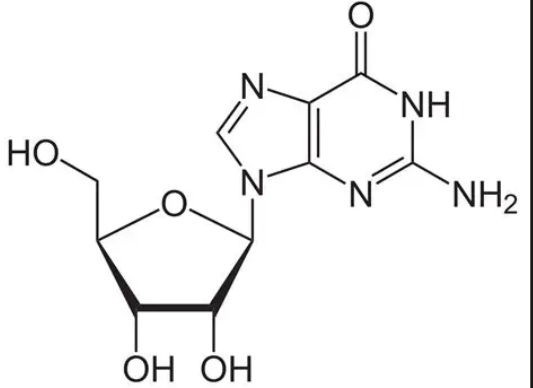 <p>nucleoside or nucleotide?</p>