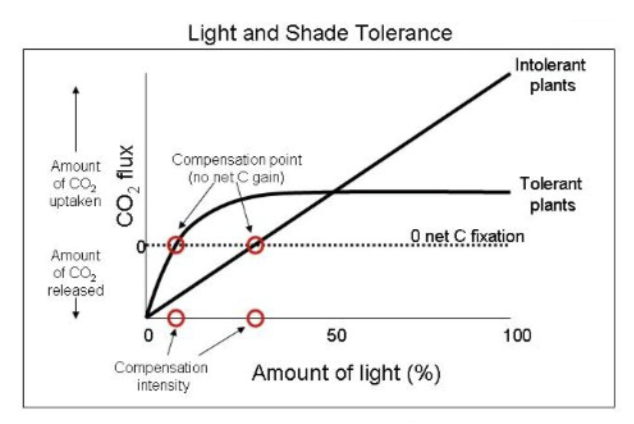 <p>lower</p>