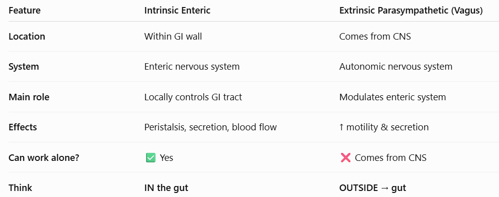 <p>Answer: The intrinsic enteric nervous system and extrinsic parasympathetic vagal pathways.</p><p>Extra Information:</p><ul><li><p>These systems coordinate contraction and relaxation around the food bolus.</p></li></ul><p></p>