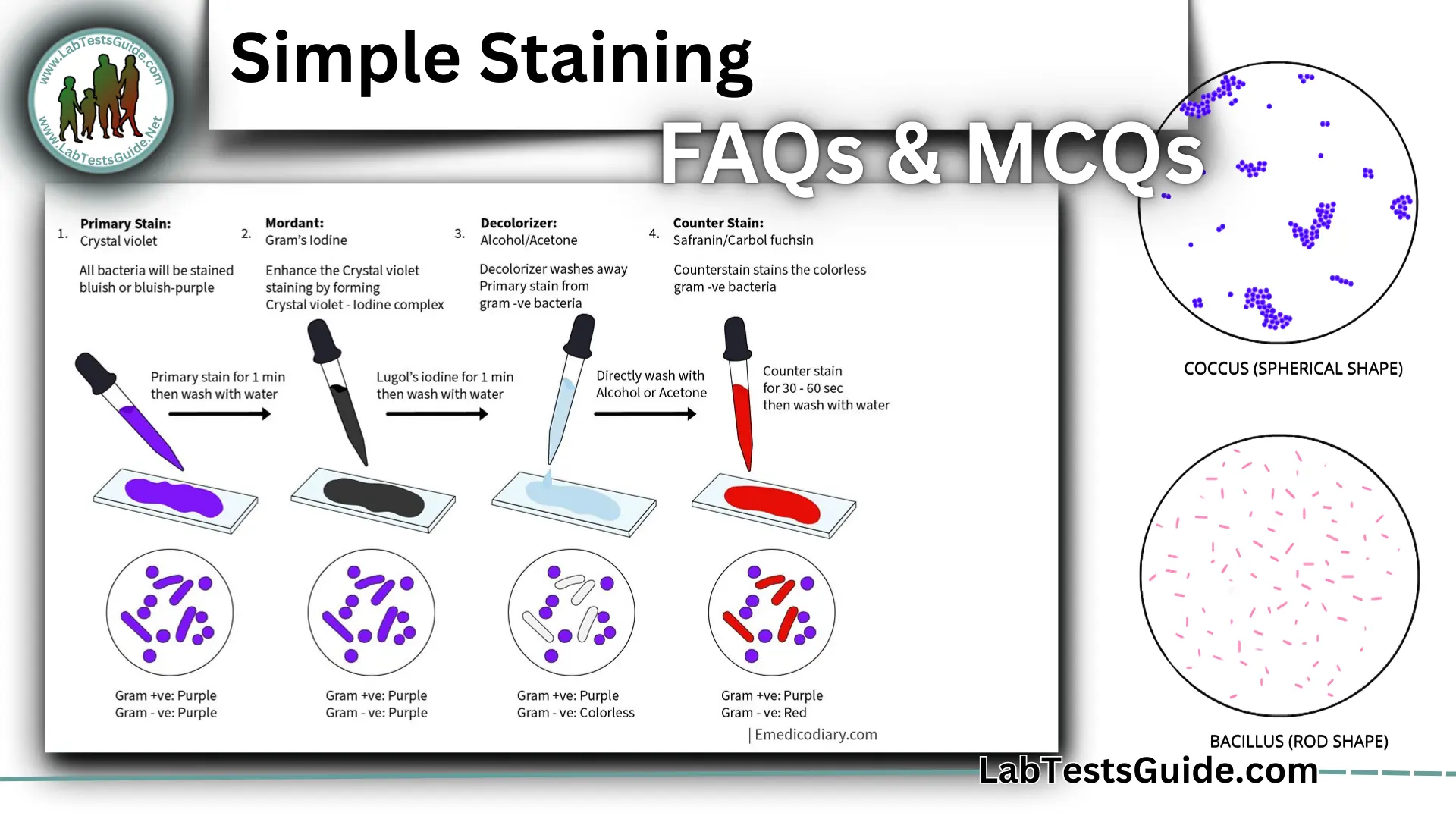 <p>one stain is used to dye bacterial cells</p><ul><li><p>Prepare a smear: Spread bacteria onto a microscope slide</p></li><li><p>Heat-fix: Gently heat the slide to attach the bacteria to it</p></li><li><p>Apply one dye: Add a stain, such as methylene blue, crystal violet, or safranin</p></li><li><p>Rinse and dry: Wash off excess dye and let the slide dry</p></li><li><p>Observe: View to see the shape, arrangement, size</p></li></ul><p></p>