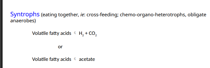 <p>eating together, ie: cross-feeding; chemo-organo-heterotrophs, obligate anaerobes)</p>
