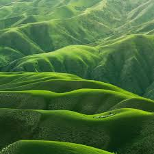 <p>rolling hills /ˈrəʊlɪŋ hɪlz/ phrase hills with gentle slopes that extend for a long distance</p>