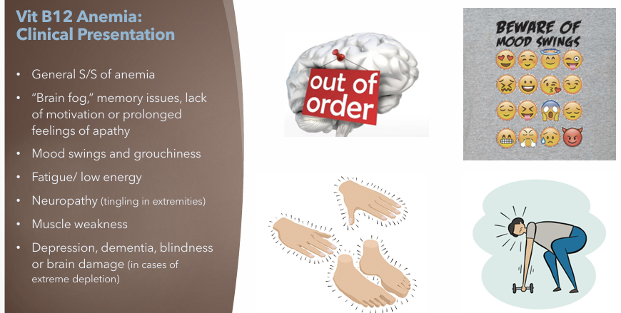 <ul><li><p>General S/S of Anemia</p></li><li><p>Brain fog memory issues, lack of motivation or prolonged feelings of apathy</p></li><li><p>Mood swings and grouchiness</p></li><li><p>Fatigue, low energy</p></li><li><p>Neuropathy (tingling in extremities)</p></li><li><p>Muscle weakness</p></li><li><p>Depression, dementia, blindness, or brain damage</p></li></ul><p></p>