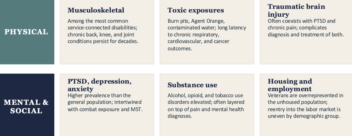 <p>physical, mental, and social distinctiveness</p><ul><li><p>musculoskeletal, toxic exposures, traumatic brain injury</p></li><li><p>PTSD, substance use, housing and employment</p></li></ul><p></p>