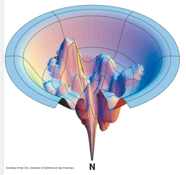<p>Thermodynamic folding funnel</p>