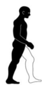 <p>what phase and step number is this?</p>