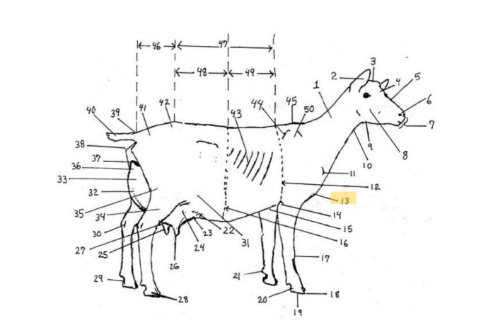 knowt flashcard image