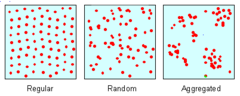 <p>arrangement of a phenomenon across the Earth's surface</p>