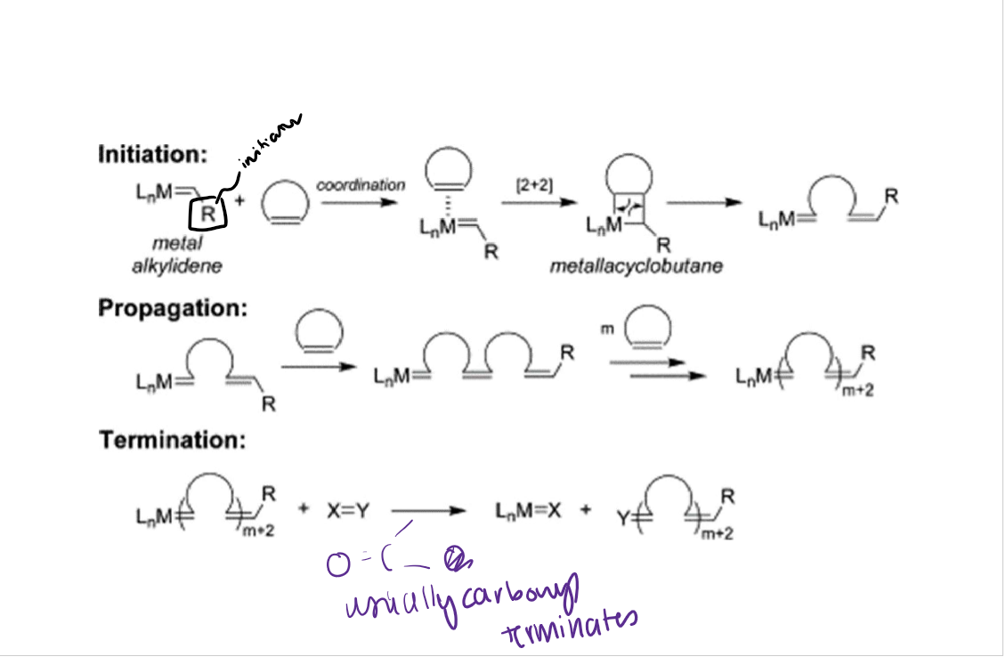 <p>X=Y group is usually a carbonyl </p>