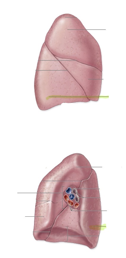 <p>what is this </p>