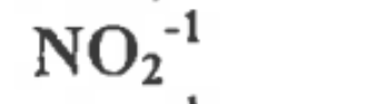 <p>1 Nitrogen, 2 Oxygen, -1 charge</p>