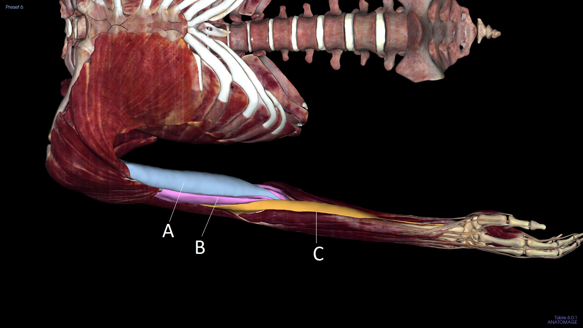 <p>A</p>