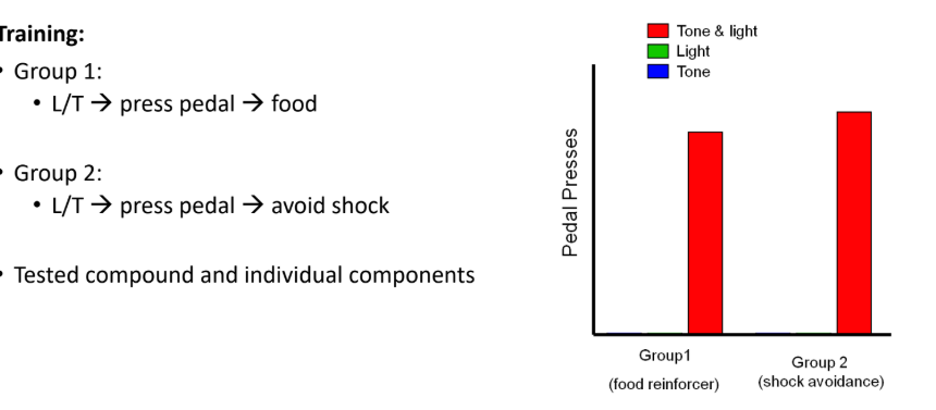 <p>• Belongingness &amp; behavioural systems</p><ul><li><p>Food-activated feeding system</p><ul><li><p>Visual cues “go” with food</p></li></ul></li><li><p>Shock-activated defense system</p><ul><li><p>Auditory cues “go” with predators</p></li></ul></li></ul><p></p>