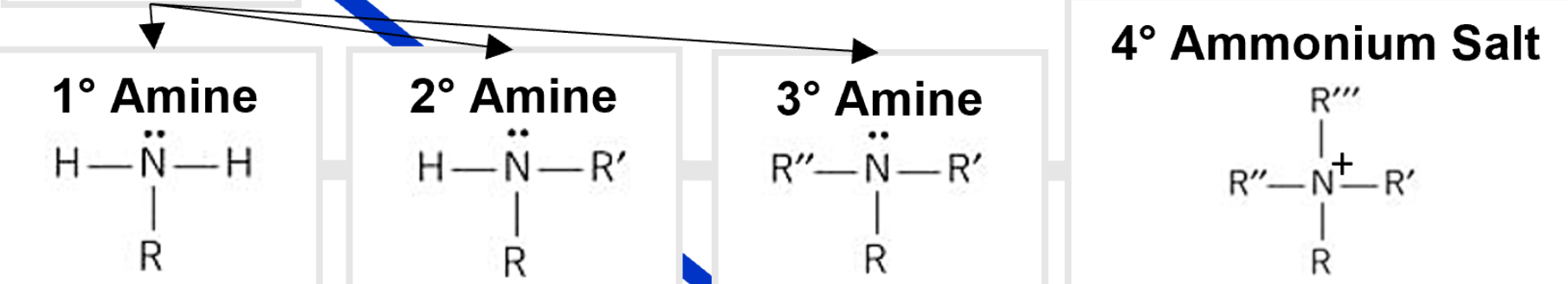 <p>Nitrile to amine</p>