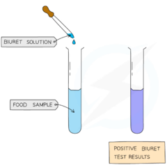 <p>The solution will turn from blue to purple/lilac</p>