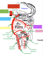 <p>label and define</p>