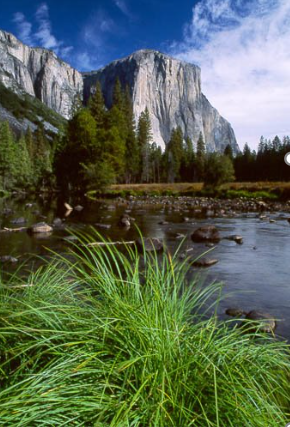 <p>Which of the following things were necessary to take this photograph?​</p>