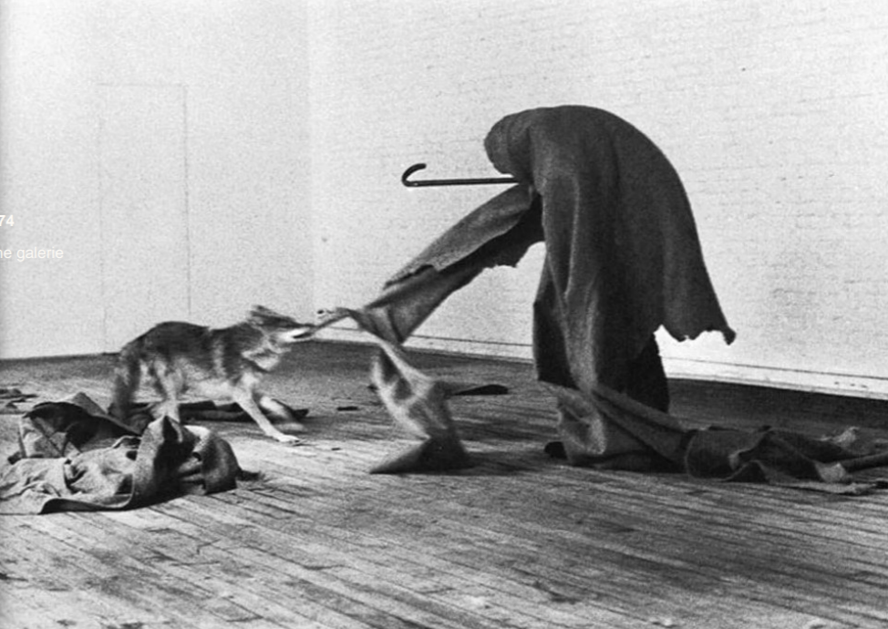 <p>I Like American and America Likes Me (Beuys, 1974)</p>