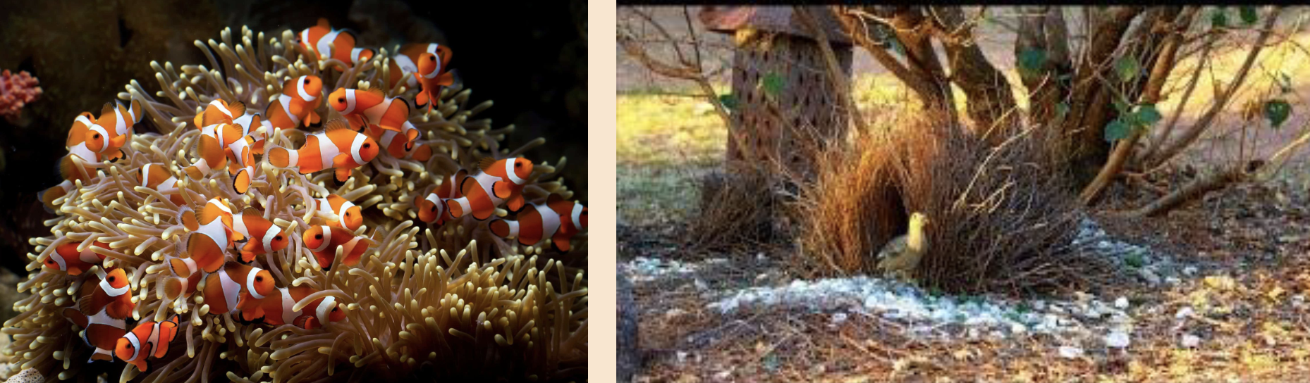 <p><u>Trade-offs</u></p><p>• __ cost</p><p>• __ investment</p><p>• __ benefit</p>