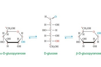 <p>Isomerism in Carbohydrates: Anomers </p>
