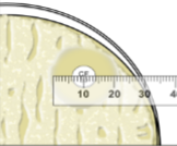 <p>≥18mm </p>