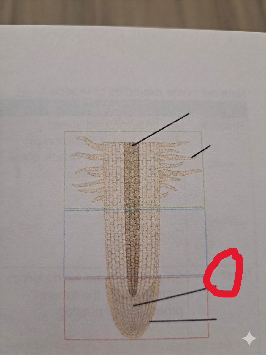 <p>What is this?</p>