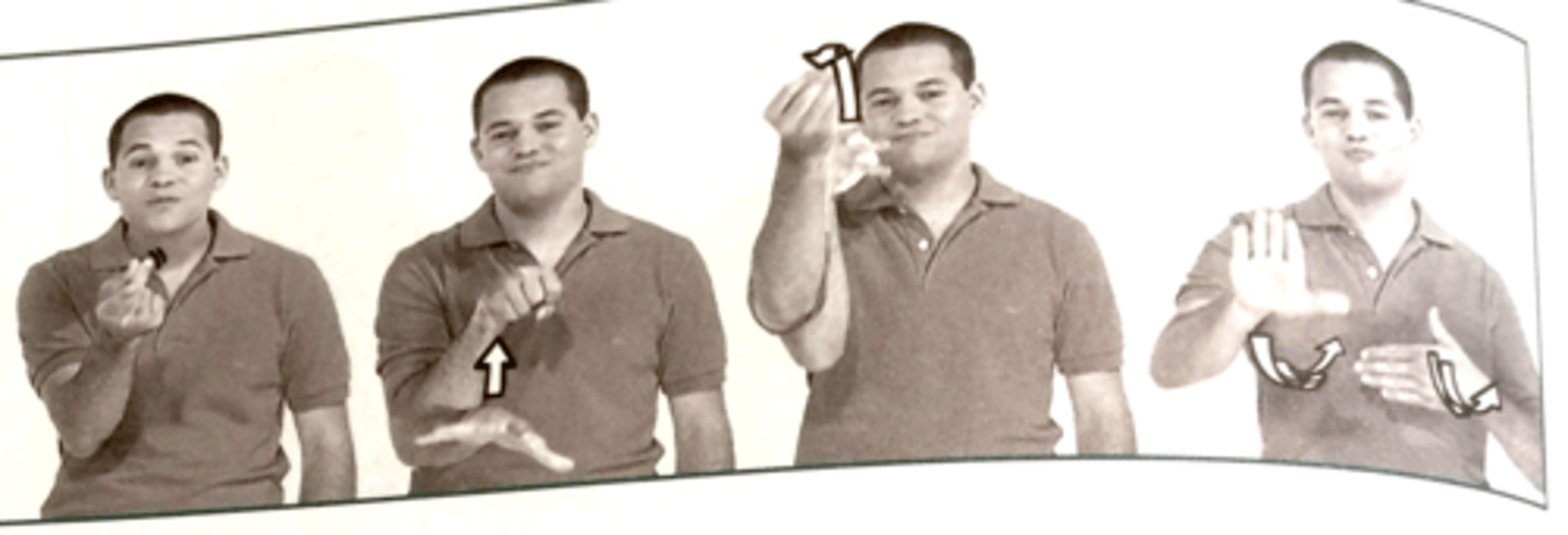 <p>dắt chó đi dạo</p>
