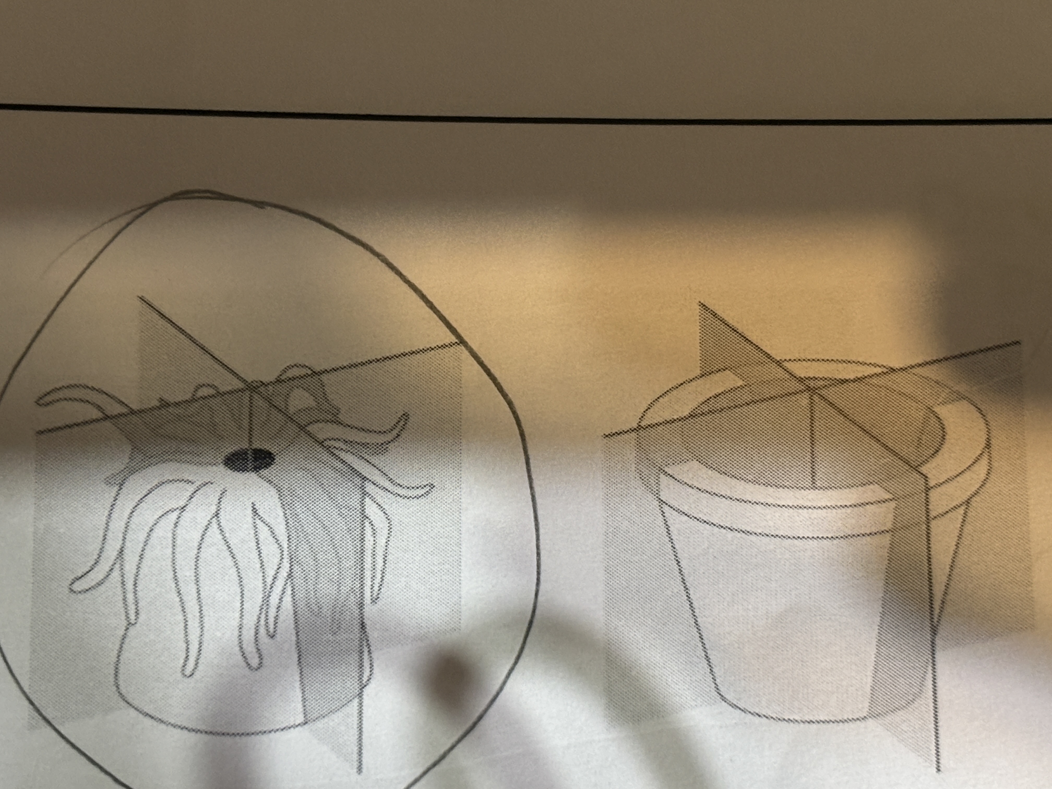 <p>Radial symmetry </p>