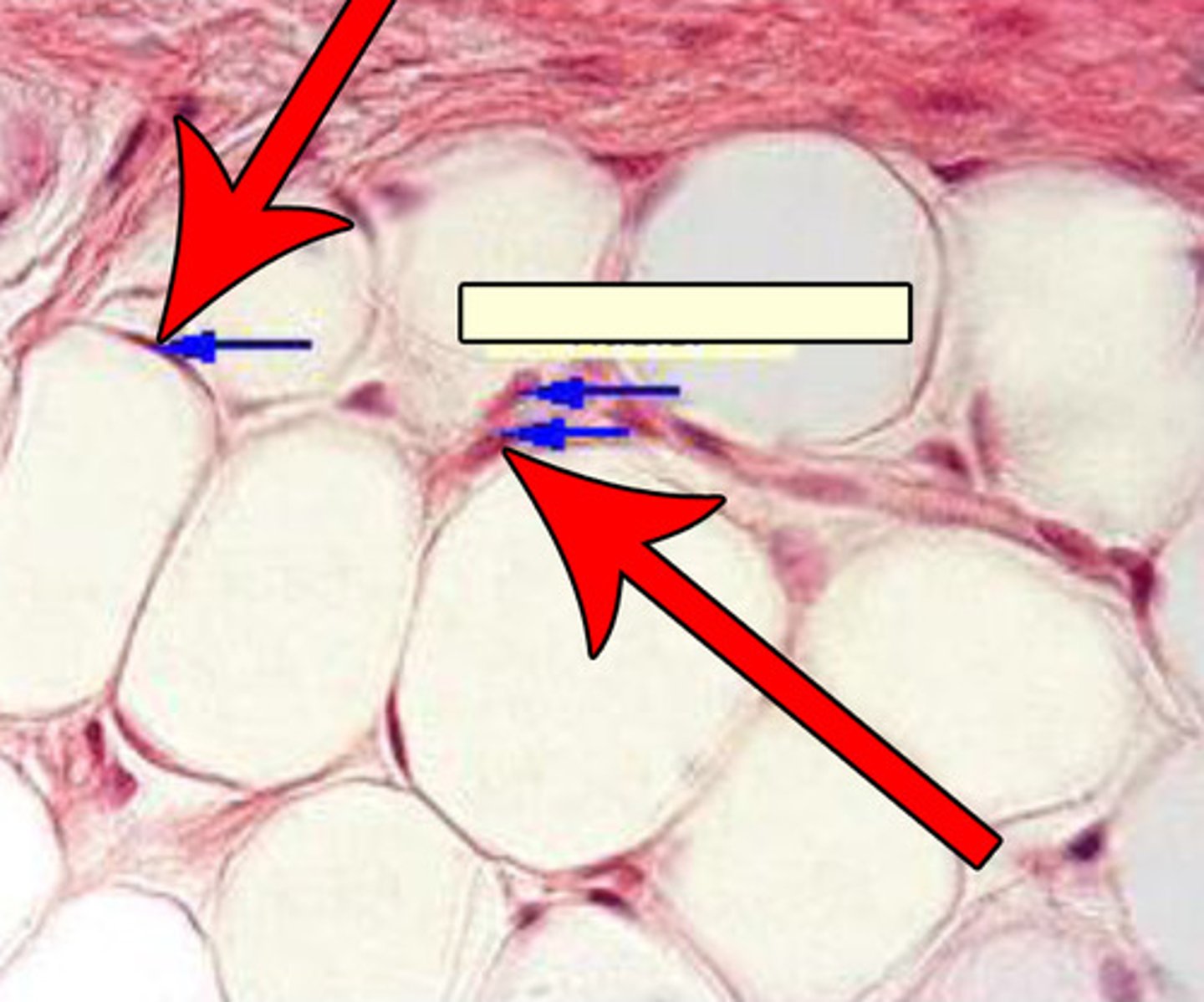<p>type of structure?</p>