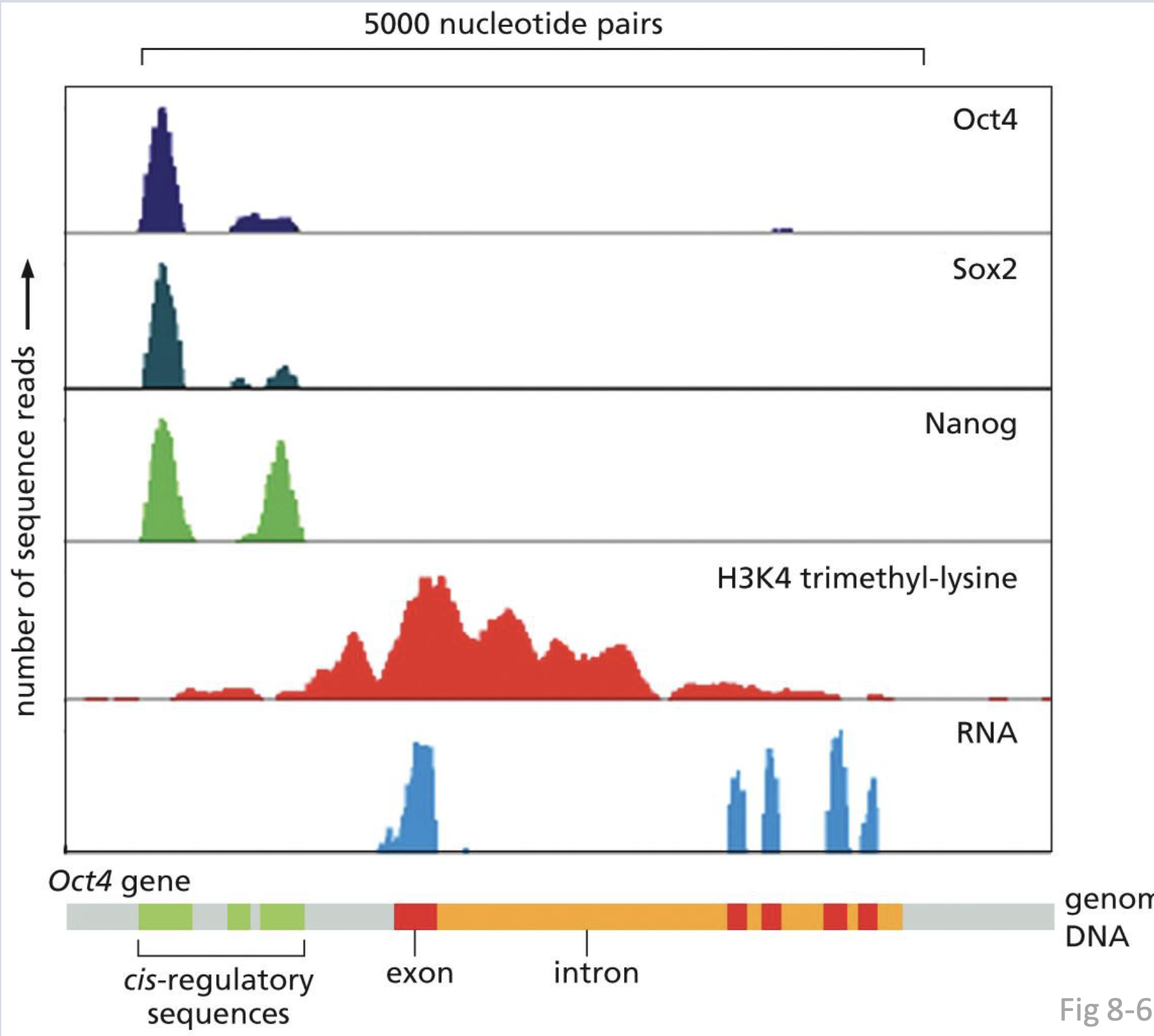 <p>which are chip seq and which are RNA seq.</p>