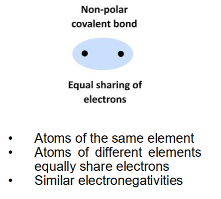 <p>nonpolar (covalent bond)</p>