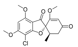 <p>[OTHER ANTIFUNGALS]</p><p>a. Flucytosine</p><p>b. Griseofulvin</p>