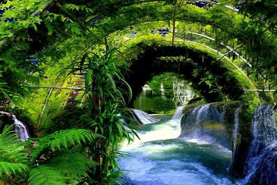 <p>sống động, chân thực, như thật.</p>