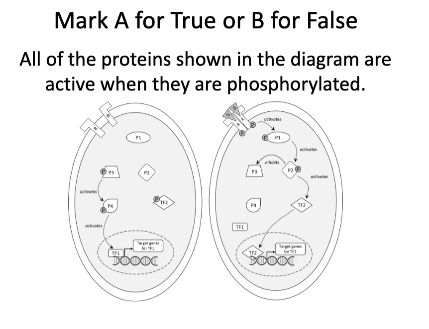 <p>Question</p>