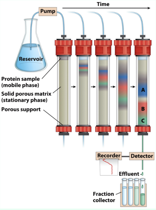 <p>What is chromatography?</p>